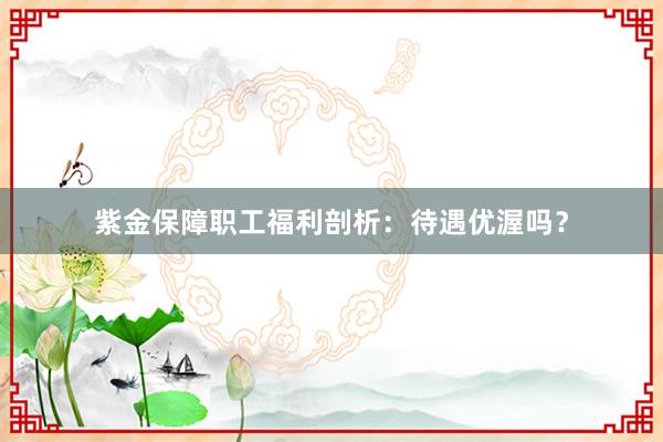 紫金保障职工福利剖析：待遇优渥吗？