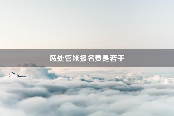惩处管帐报名费是若干