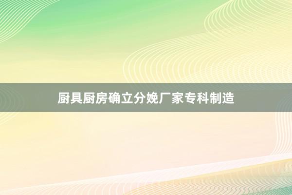 厨具厨房确立分娩厂家专科制造